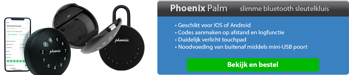 Phoenix Palm Bluetooth Sleutelkluis